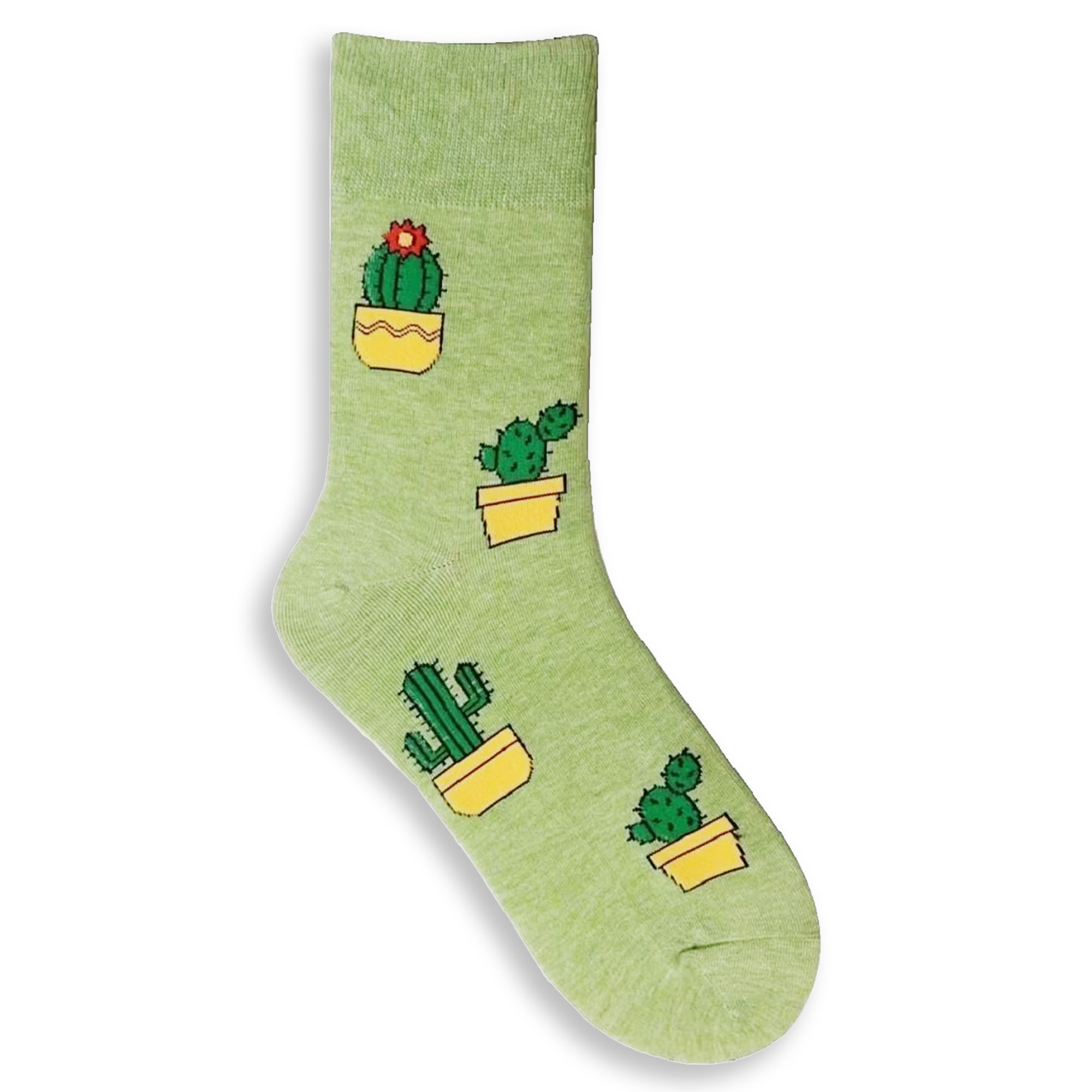 Kaktus Socken